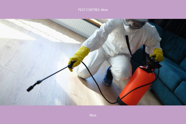 PEST CONTROL Mora